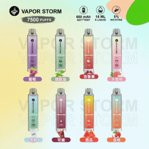VAPOR STORM風暴辣妹7500口拋棄式一次性可充電電子煙（5%）